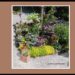 スマホカメラを愉しむ 新宿御苑前に出現した花壇が撮影スポットとして人気に…